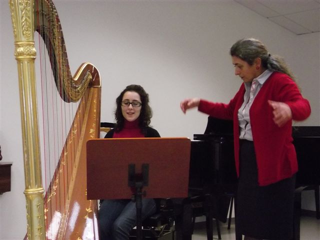 Harpist at the Havas New Approach workshop in Sassari